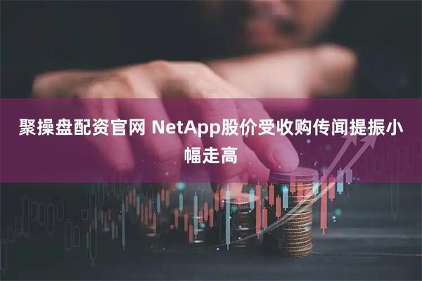 聚操盘配资官网 NetApp股价受收购传闻提振小幅走高