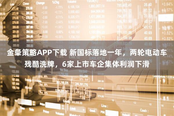 金夆策略APP下载 新国标落地一年，两轮电动车残酷洗牌，6家上市车企集体利润下滑